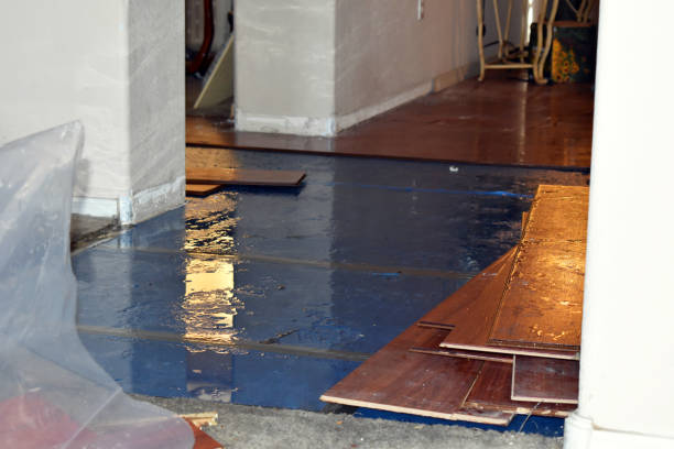 Professional Water Extraction technician working in Garden City, MI